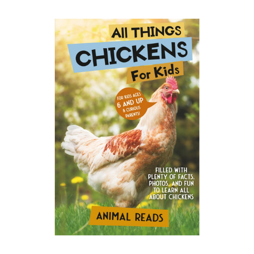 all things chickens for kids