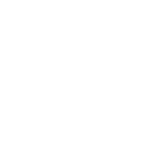 Puzzle Icon