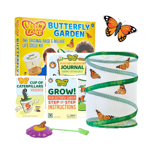 gifts 5 6 years (12)