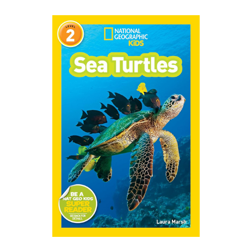 gifts 5 6 years (17)