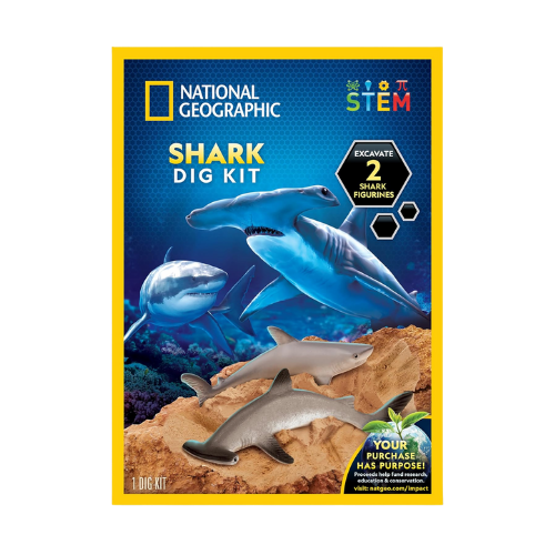 gifts 5 6 years (56)