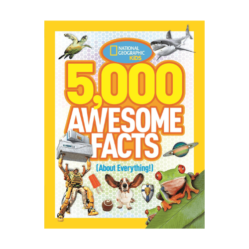 gifts 7 9 years (18)