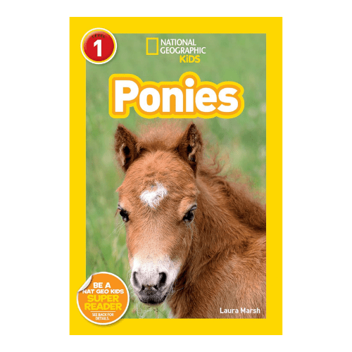 ponies
