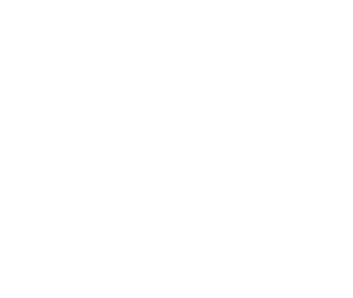 Puzzle Icon