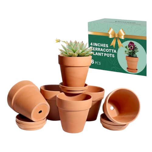 small terracotta pots
